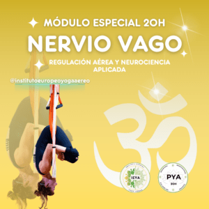 Curso 20H Especial Nervio Vago