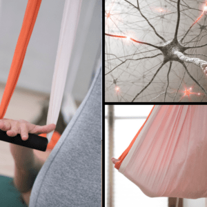 Curso 20H Nervio Vago