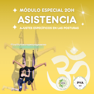 Curso 20H Ajustes y Asistencias