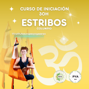 Curso Online 30H Iniciación Estribos