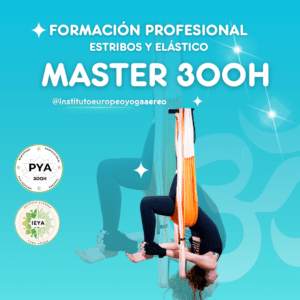 Máster Integral 300H (Dos Columpios)